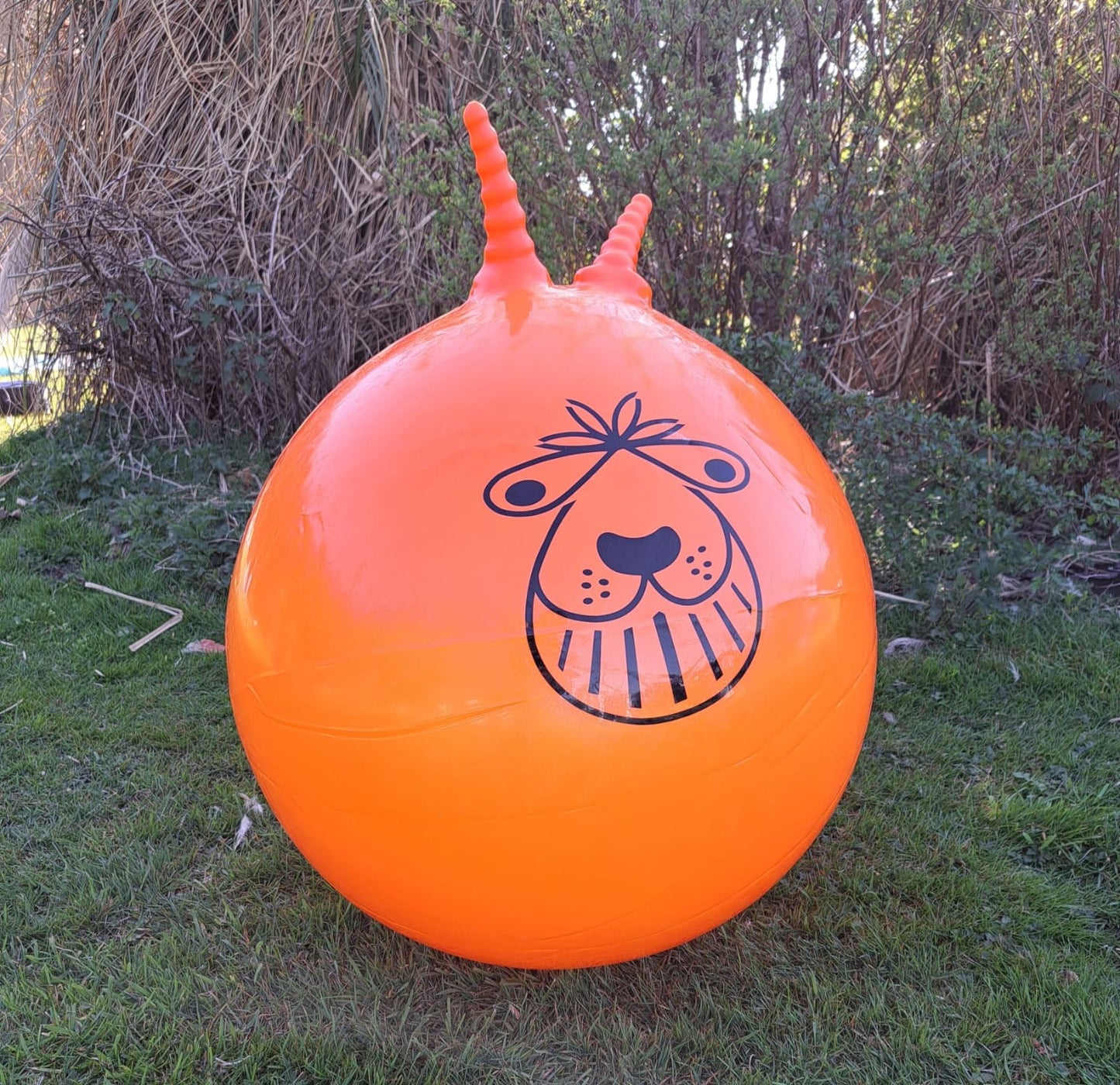For Hire - Two Space Hoppers
