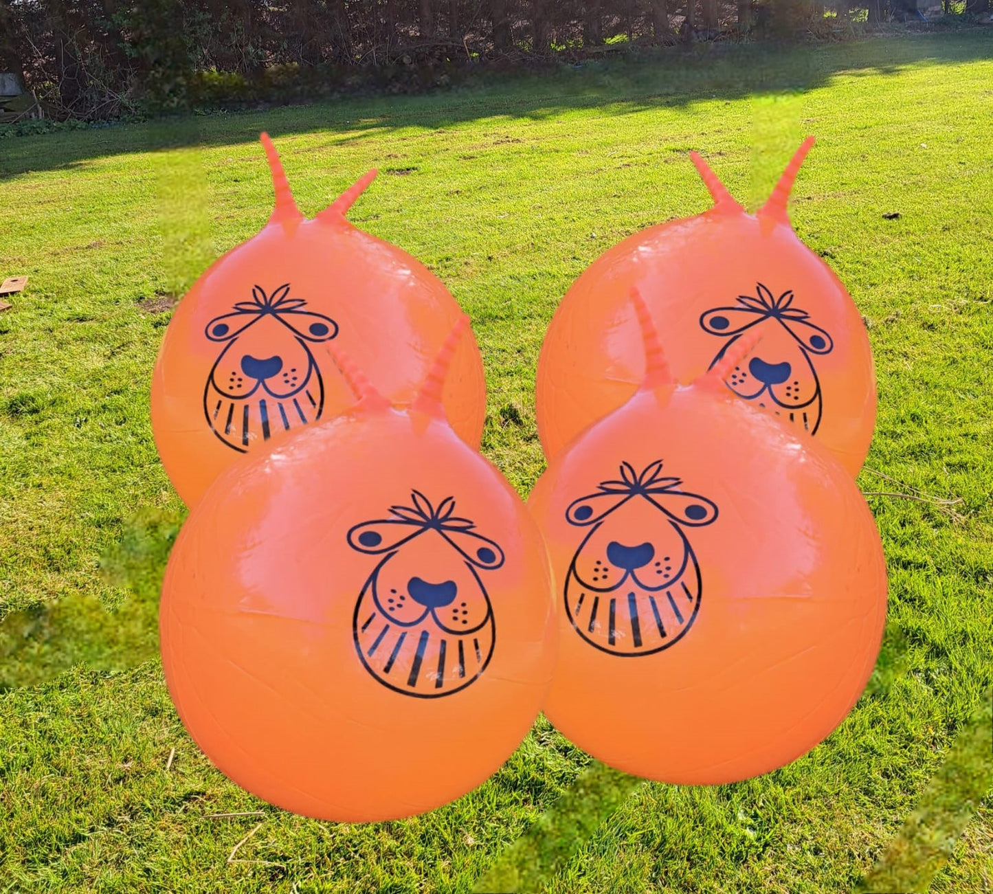 For Hire - Four Space Hoppers