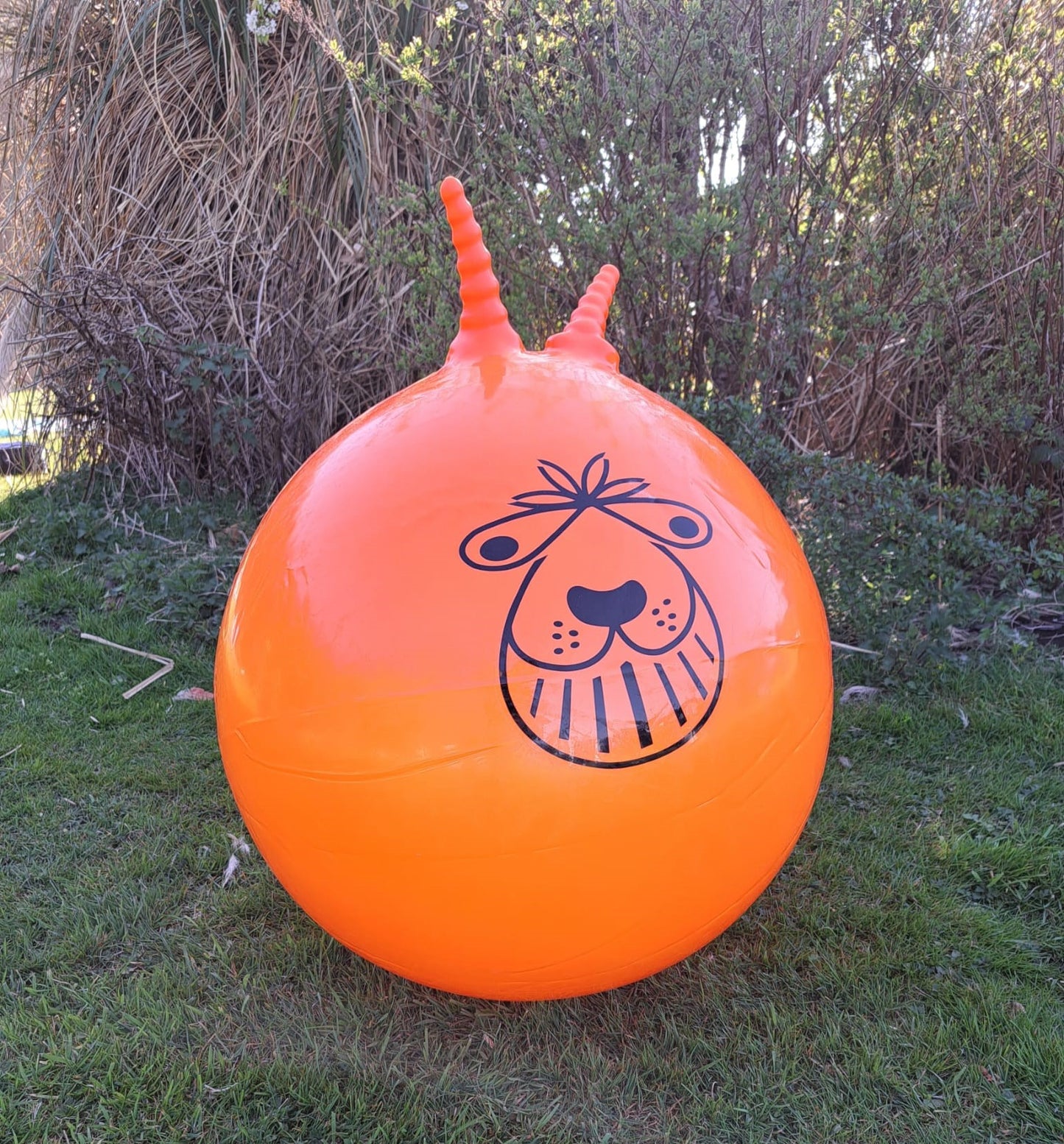 For Hire - Four Space Hoppers