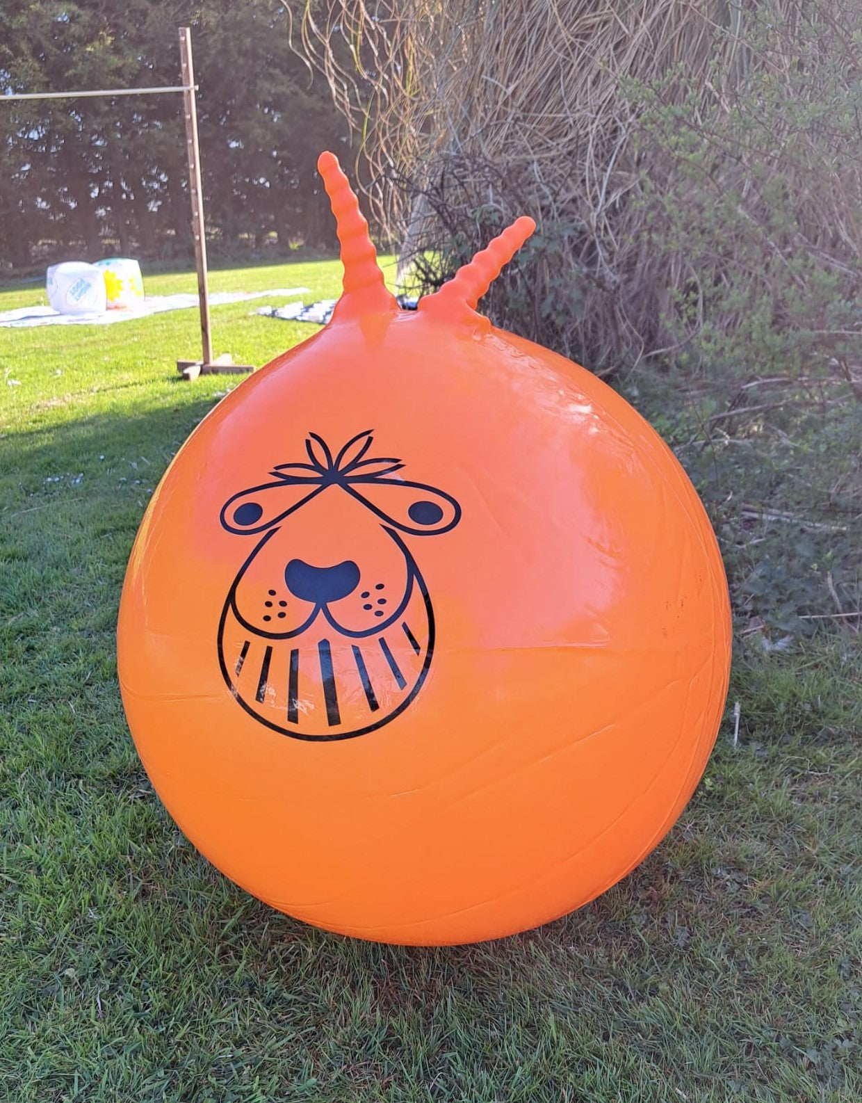 For Hire - Two Space Hoppers