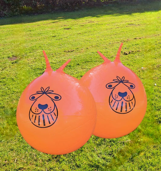 For Hire - Two Space Hoppers