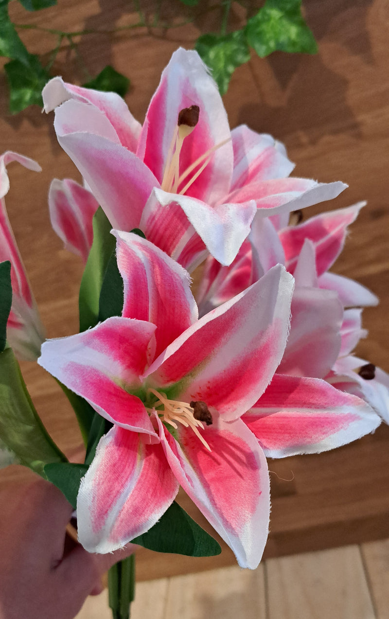 A close up of pink lilies hand in a hand against a rustic background