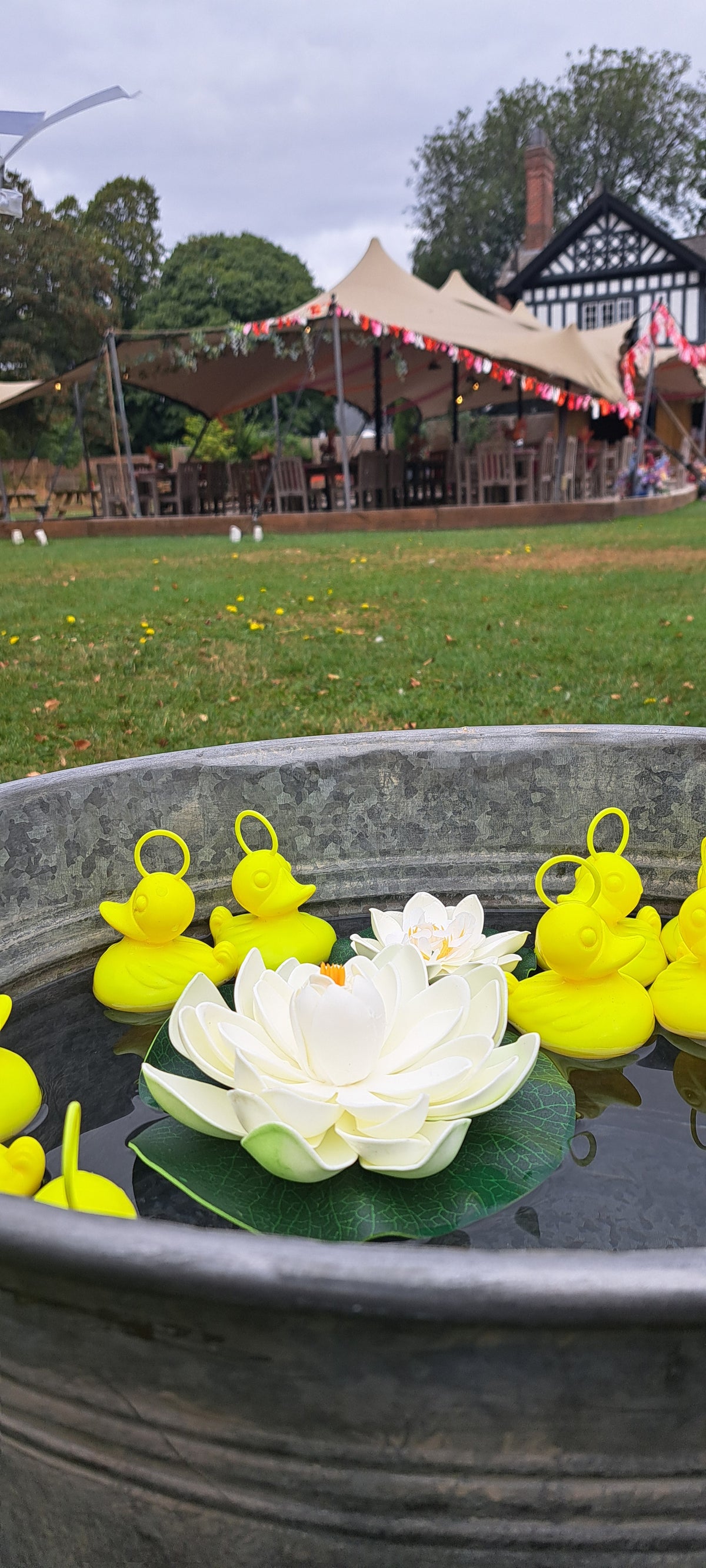 A metal tub filled with water outdoors, featuring a white lotus flower float and several bright yellow hook a ducks, with a grassy field and event tents in the background.