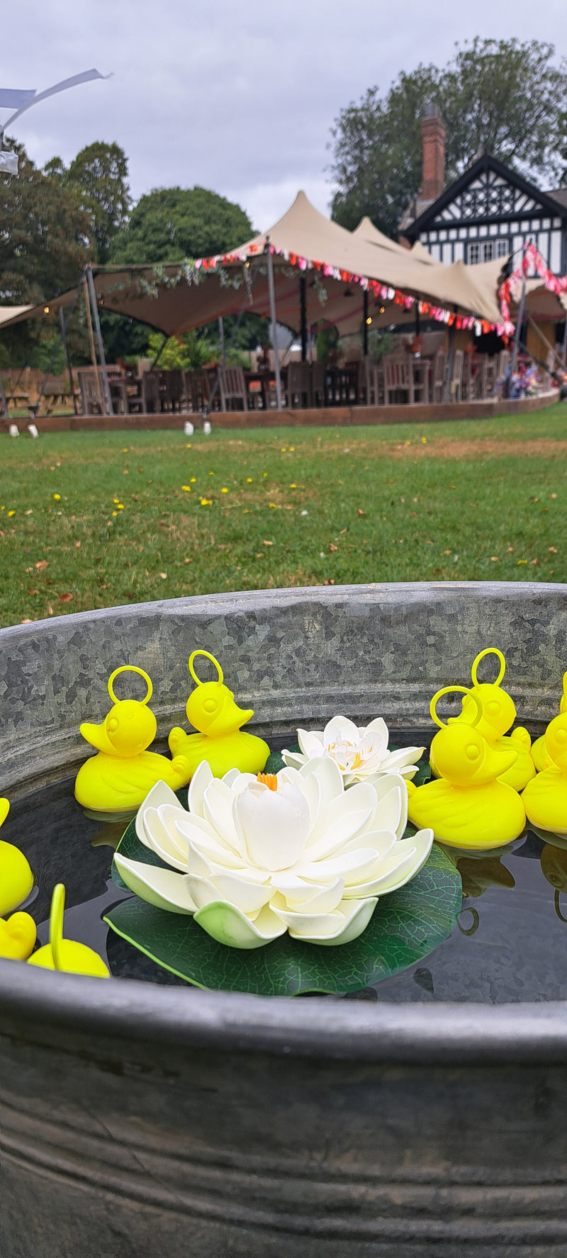 A metal tub filled with water outdoors, featuring a white lotus flower float and several bright yellow hook a ducks, with a grassy field and event tents in the background.