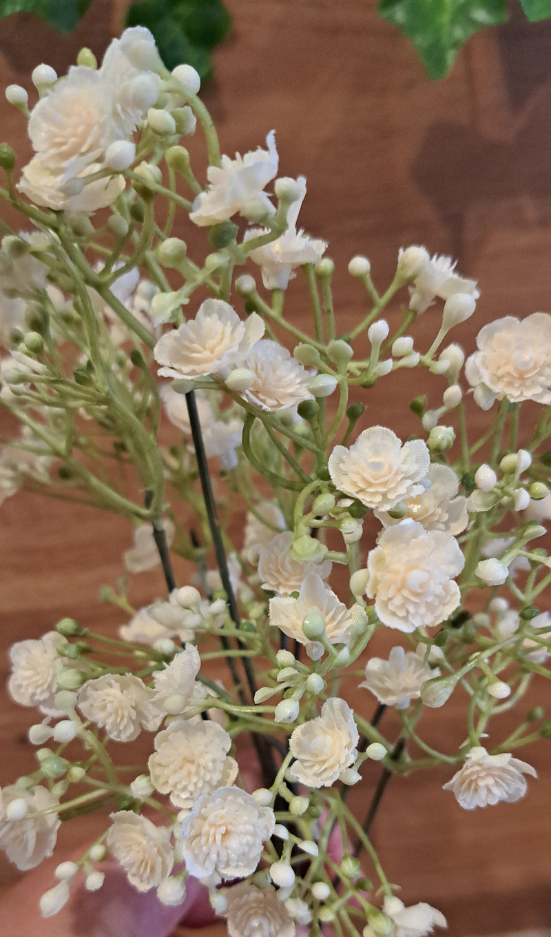 Luxury ivory gypsophila held in a hand on a wooden backround
