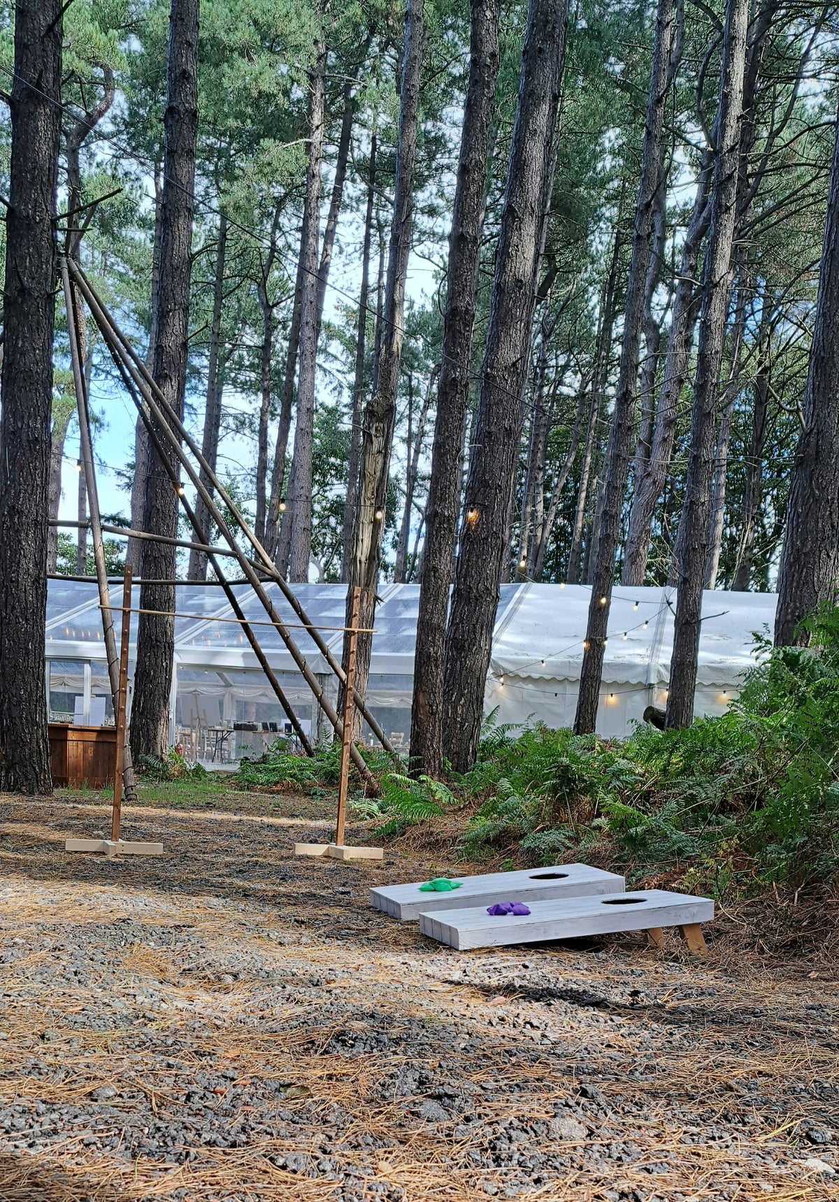 Outdoor cornhole boards on a gravel forest clearing with tall pine trees and a greenhouse in the background. Orrell Hill Woods, Formby