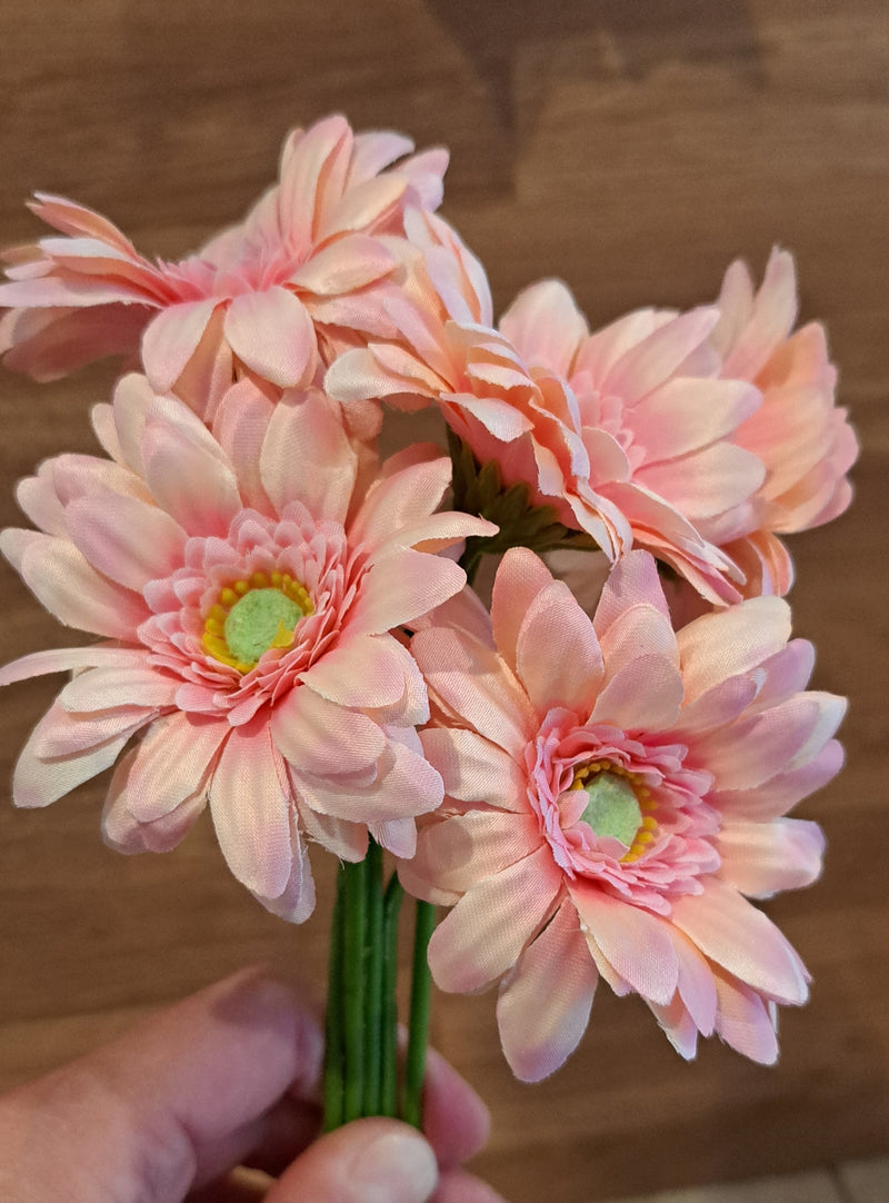 Pink gerberas on long stems held in a hand on a wood background 