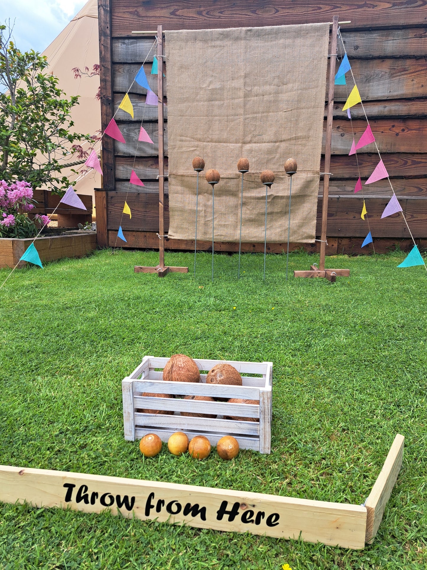 Coconut Shy Hire